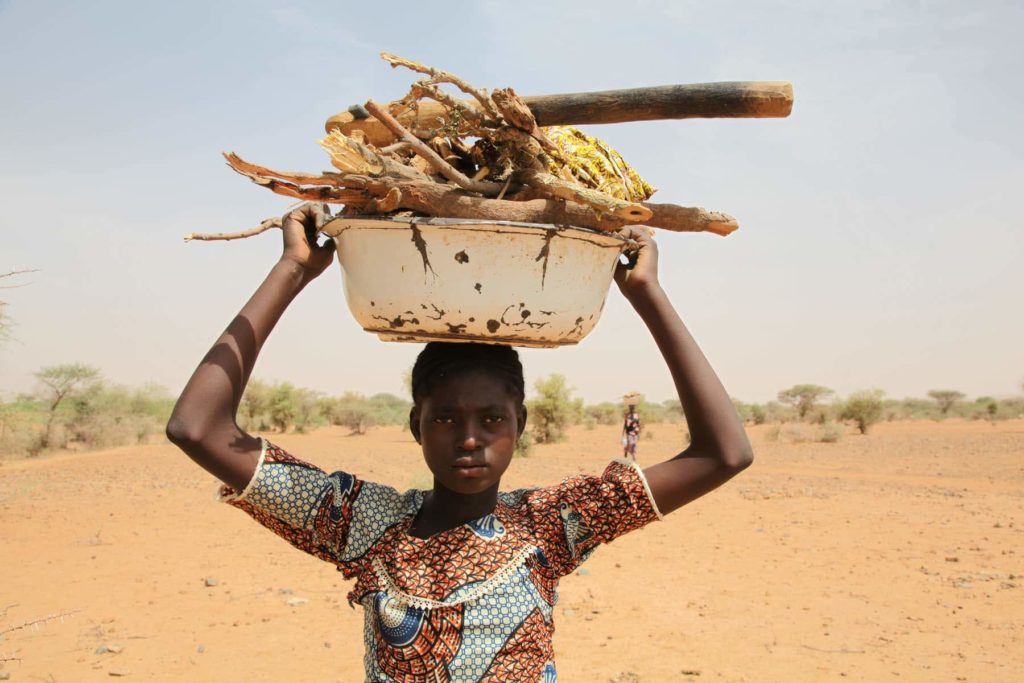 Girl carrying wood, Niger